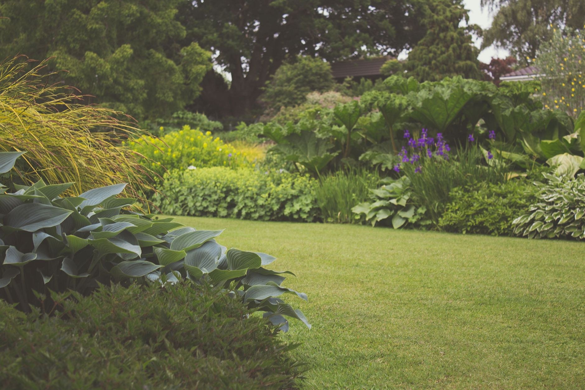 Lush mixed garden bed of shrubs and grasses beside a lawn